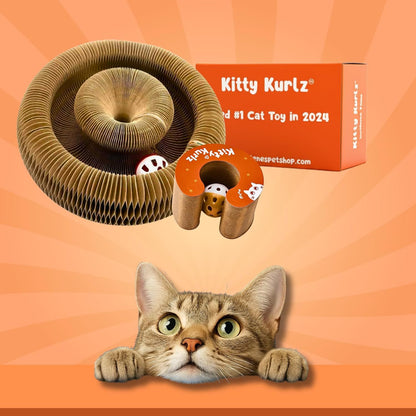 kitty kurlz toy