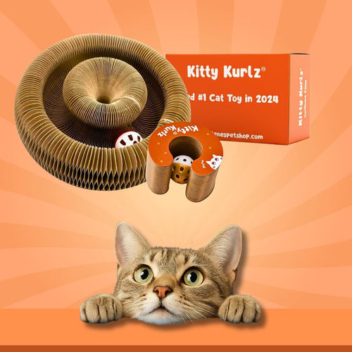 kitty kurlz toy