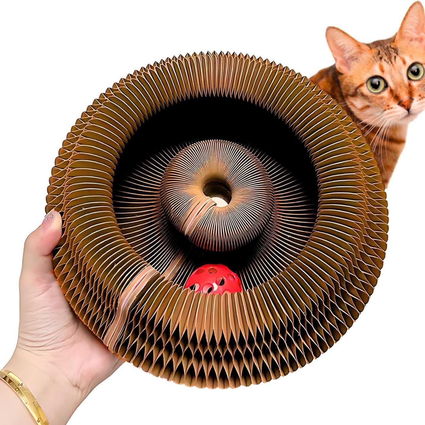 kitty kurlz toy